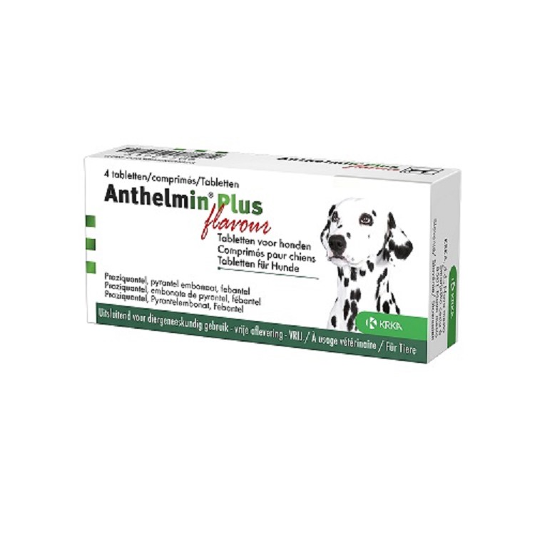 Anthelmin Plus flavour 4tabl.REGNL104832
