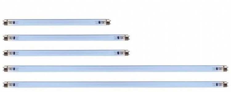 LAMP VOOR VLIEGENKAST 15W