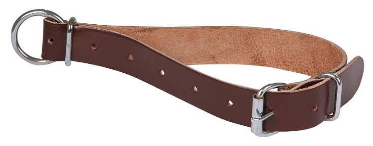 Halsband leer voor geiten, 2.5x65cm