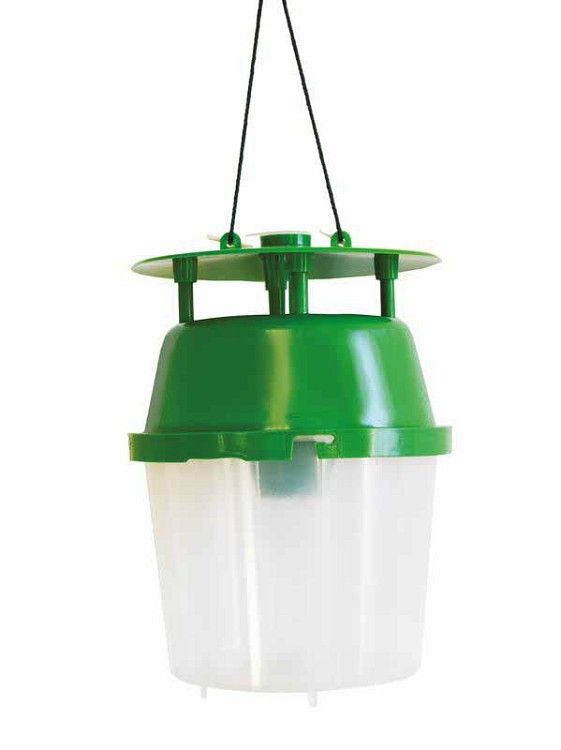 Funnel Trap transparant reservoir, 25st