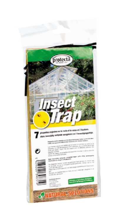 Insects-trap Yellow 7st