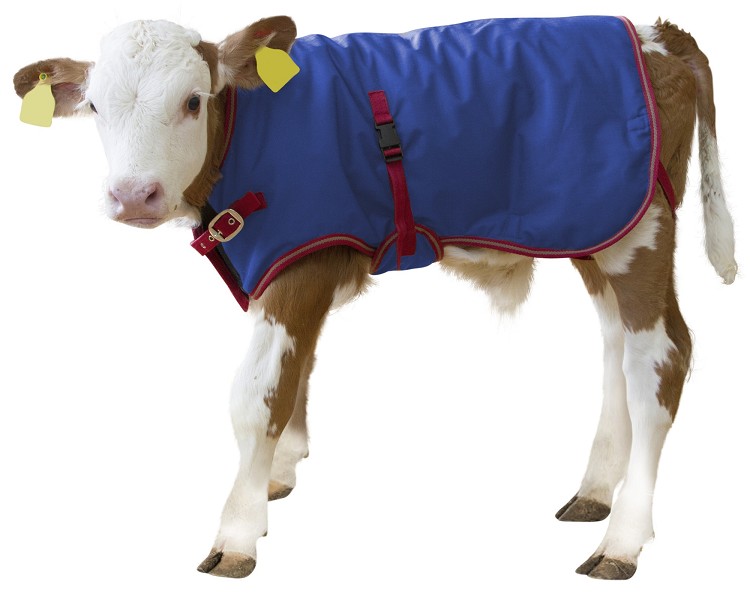 Kalverdekje bodywarmer Thermo+, 80cm