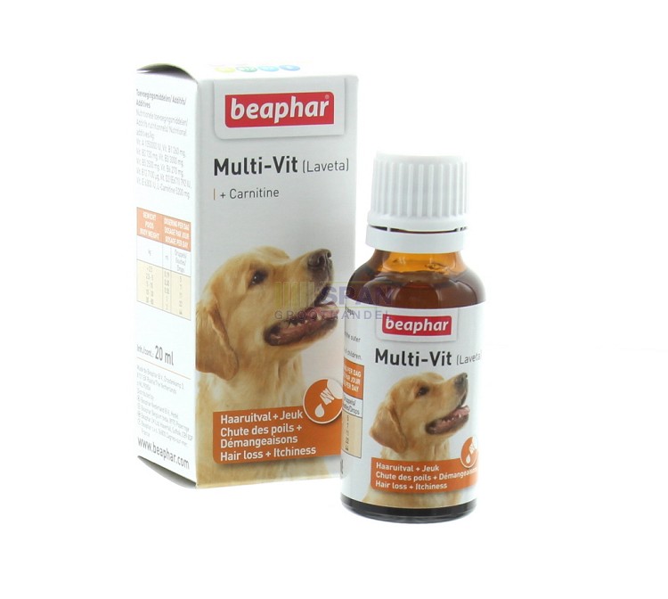 Multi-vit + Carnitine hond 20ml