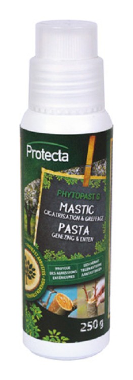 Phytopast G 250g