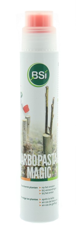 Arbopasta Magic, 250g