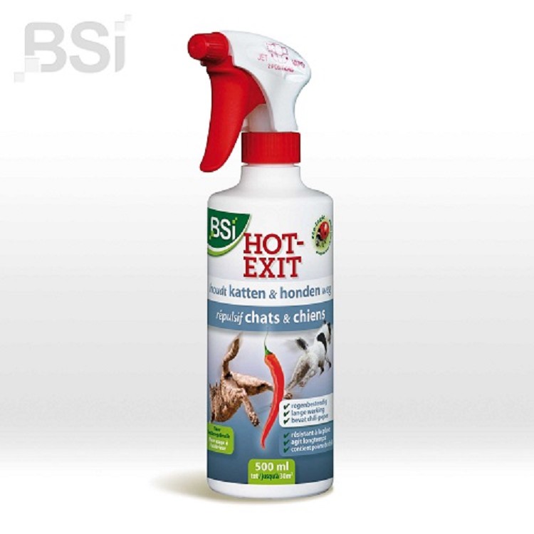 Hot-Exit, 500ml