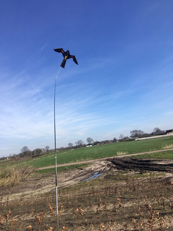 BIRD SCARING KITE MET DRAAIVOET 4METER