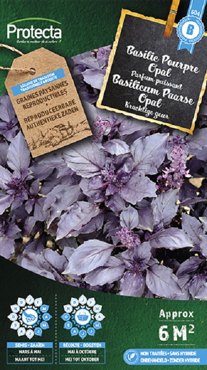 Basilicum Paarse Opal