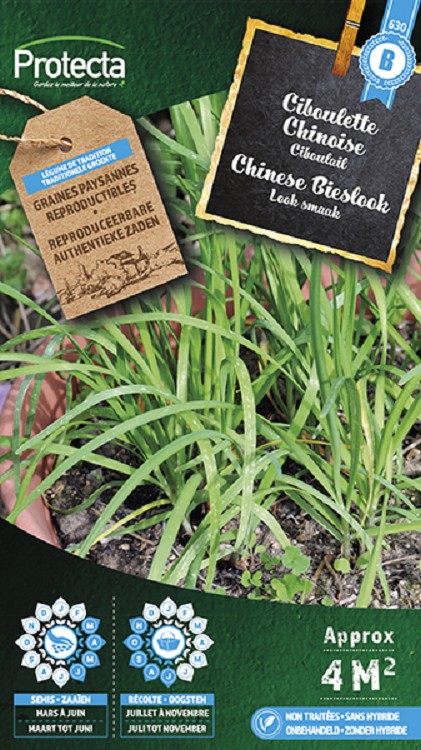 Chinese bieslook