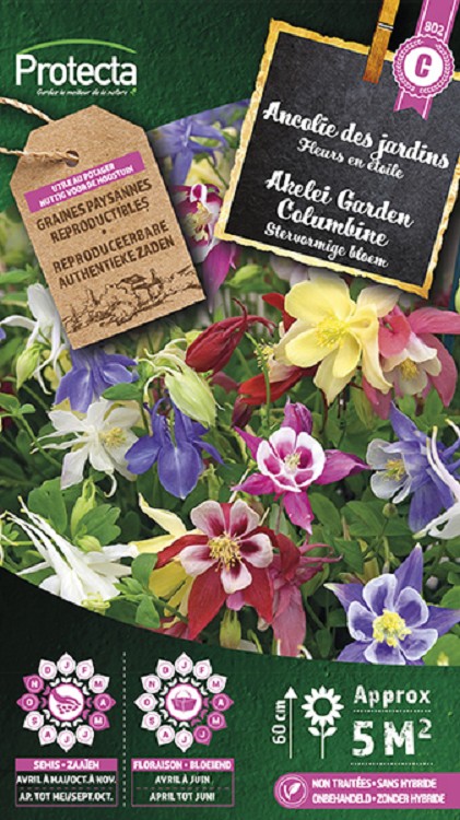 Akelei Garden Columbine