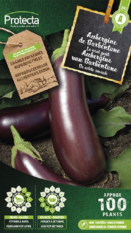 Aubergine Paarse van Barbentane
