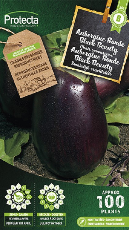 Aubergine Ronde Black Beauty
