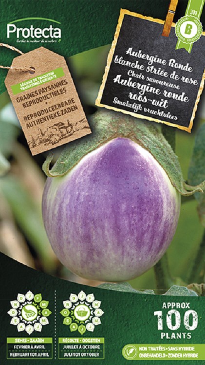 Aubergine Ronde roos-wit