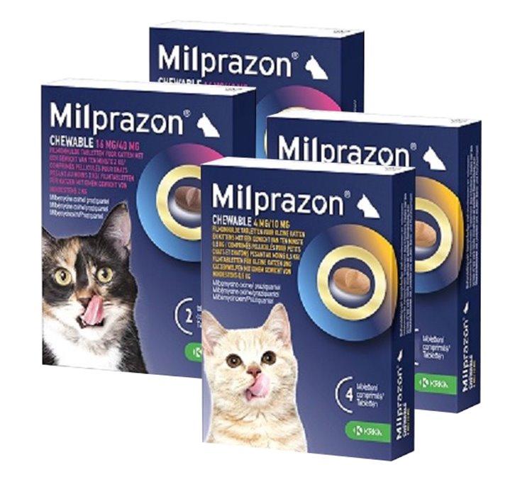 Milprazon worm kauwtabletten kat